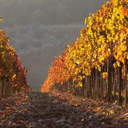 Cellole - Valluccia By Interhome *